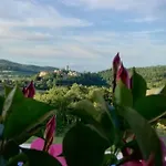Elsanto-beb San Venanzo
