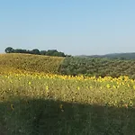 Elsanto-beb San Venanzo