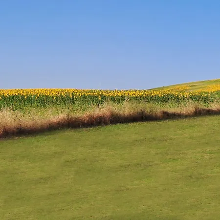 Elsanto-beb Bed and breakfast 3*